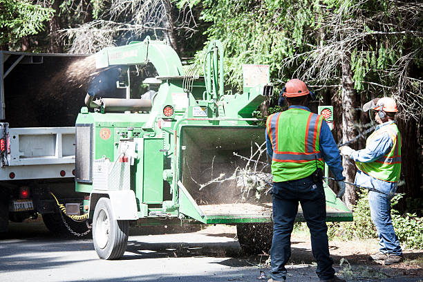 Leaf Removal in Weigelstown, PA